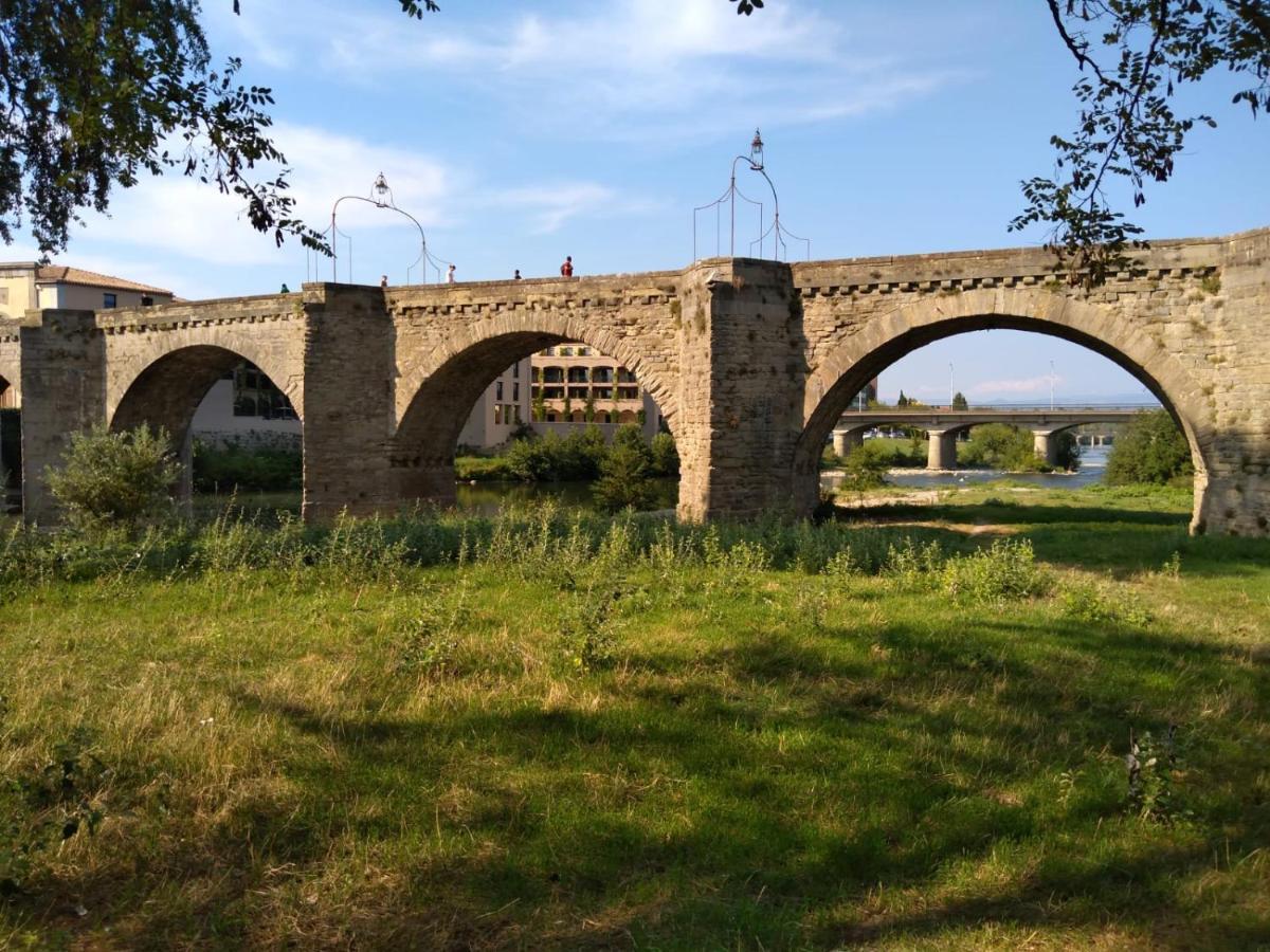 Carcassonne T3 Residentiel Rez De Jardin Piscine, Wifi, Tennis, Fitness Appartement Buitenkant foto