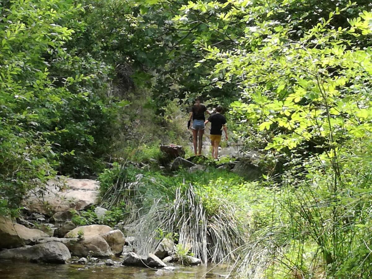 Carcassonne T3 Residentiel Rez De Jardin Piscine, Wifi, Tennis, Fitness Appartement Buitenkant foto