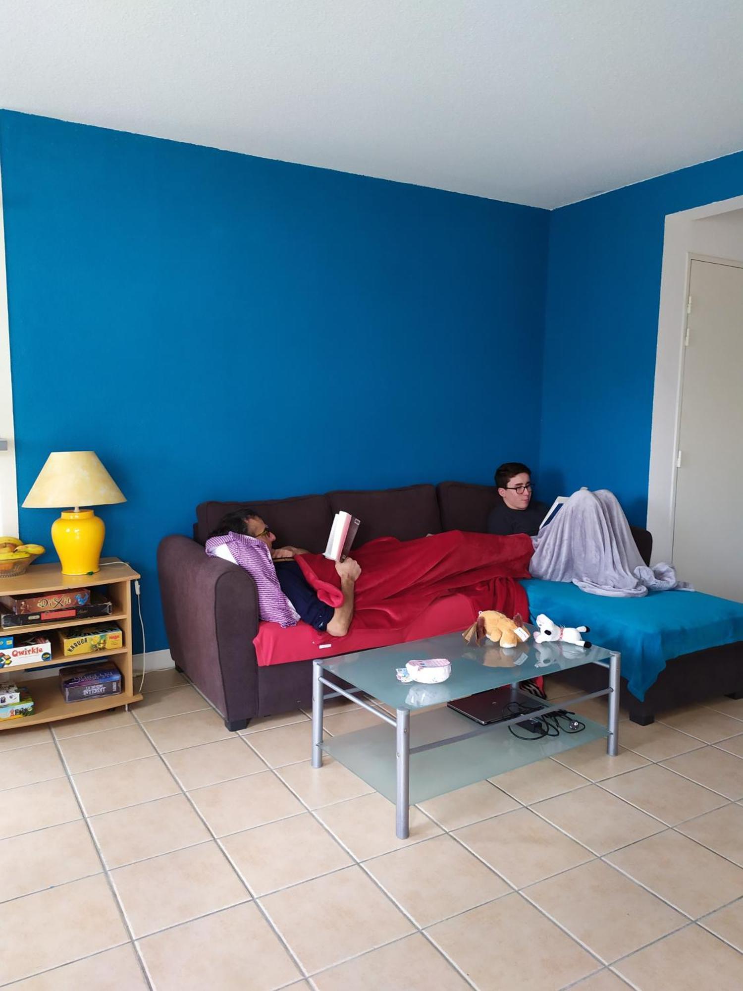 Carcassonne T3 Residentiel Rez De Jardin Piscine, Wifi, Tennis, Fitness Appartement Buitenkant foto